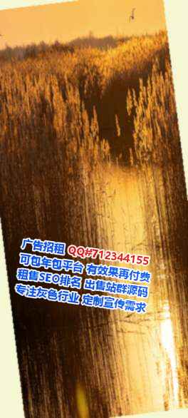 安泽试管安防工作室
